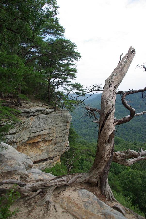 Greeter Falls Lodge Cottage #6 Beersheba Springs 외부 사진